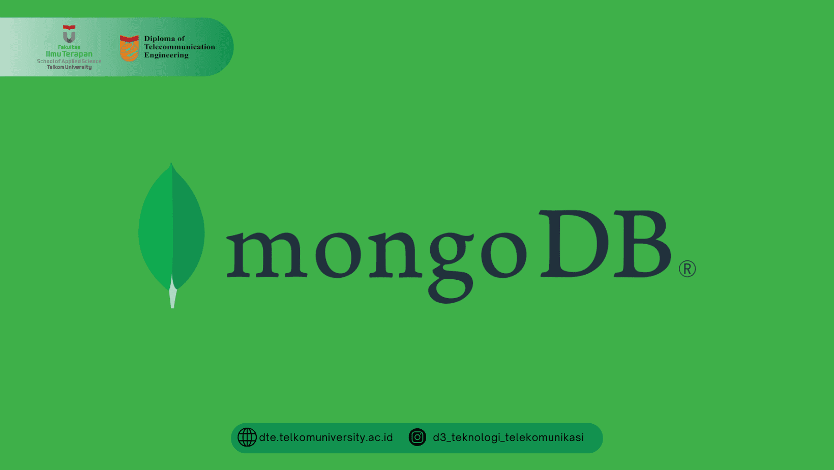 Mengenal MongoDB dan Kegunaanya Sebagai Database Management