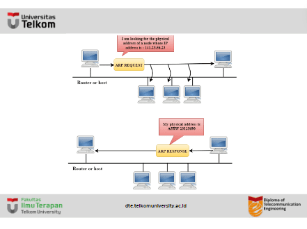 Network Layer Protocols Network Layer Protocols