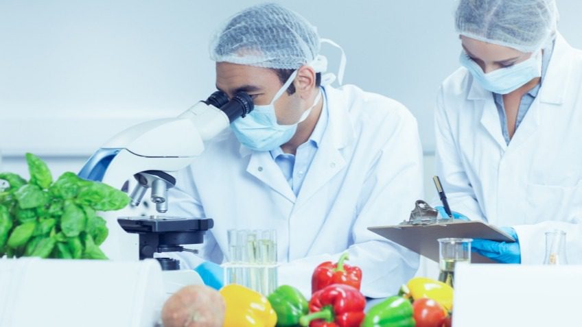 Teknologi Makanan: Inovasi untuk Ketahanan Pangan dan Keberlanjutan Teknologi Makanan: Inovasi untuk Ketahanan Pangan dan Keberlanjutan