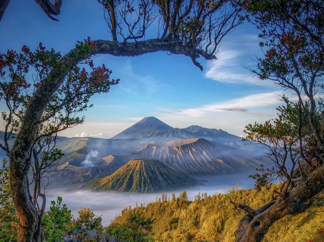 Gunung Bromo: Keajaiban Alam yang Memukau di Jawa Timur