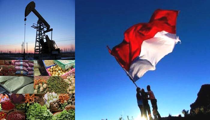 Ketahanan Pangan dan Energi: Strategi Indonesia di Tengah Krisis Global